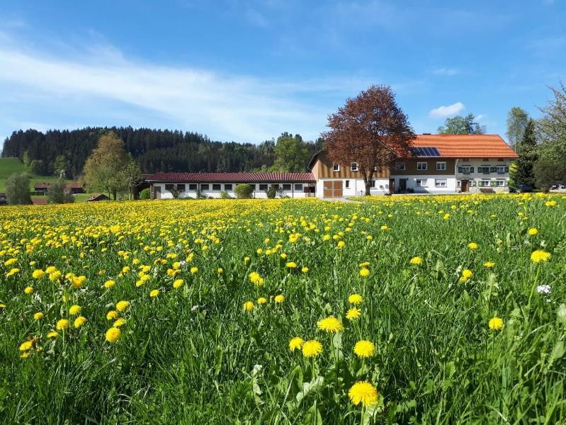 Ferienhaus Rasch مايِرْهوفين المظهر الخارجي الصورة